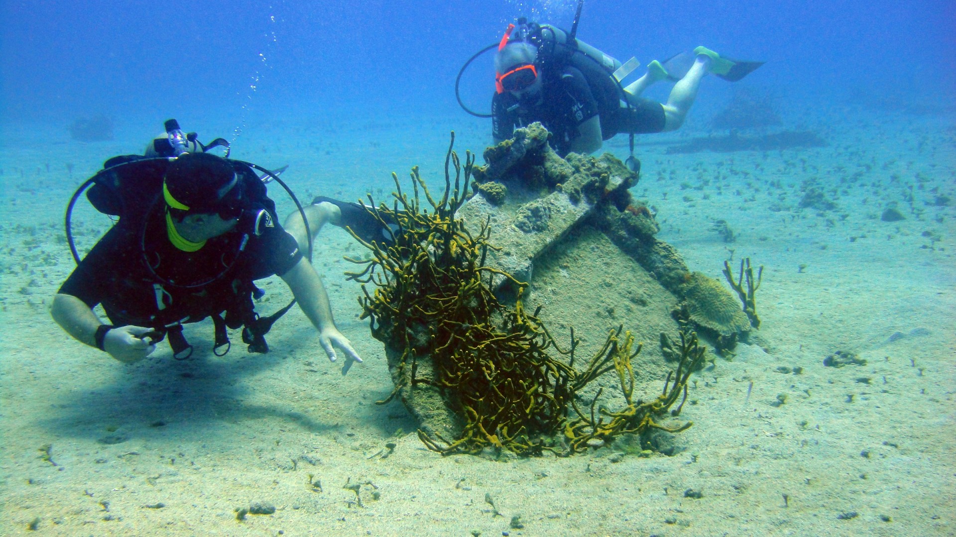 Scuba Divers - Photo Credit: Photo by Karl Callwood on Unsplash