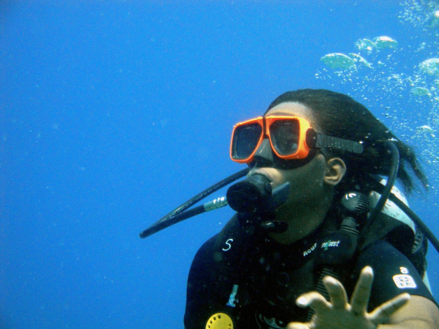 Scuba Diving - Photo Credit: Photo by Karl Callwood on Unsplash
