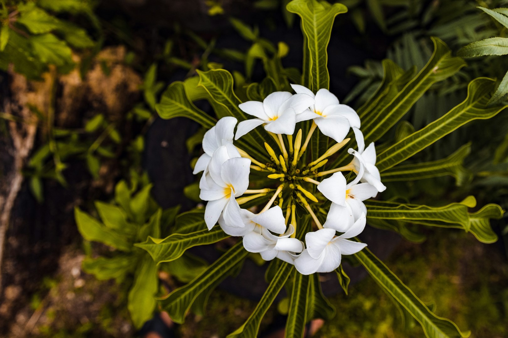  Photo Credit: Photo by Vijesh Datt on Unsplash