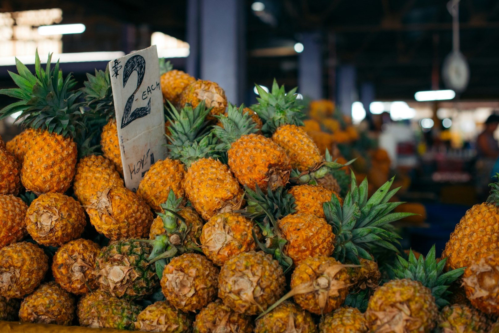  Photo Credit: Photo by Nik Schmidt on Unsplash