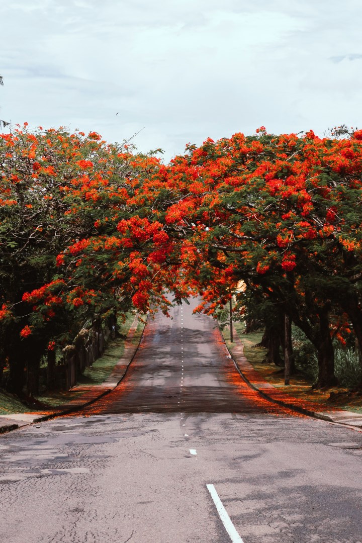  Photo Credit: Photo by Vijesh Datt on Unsplash