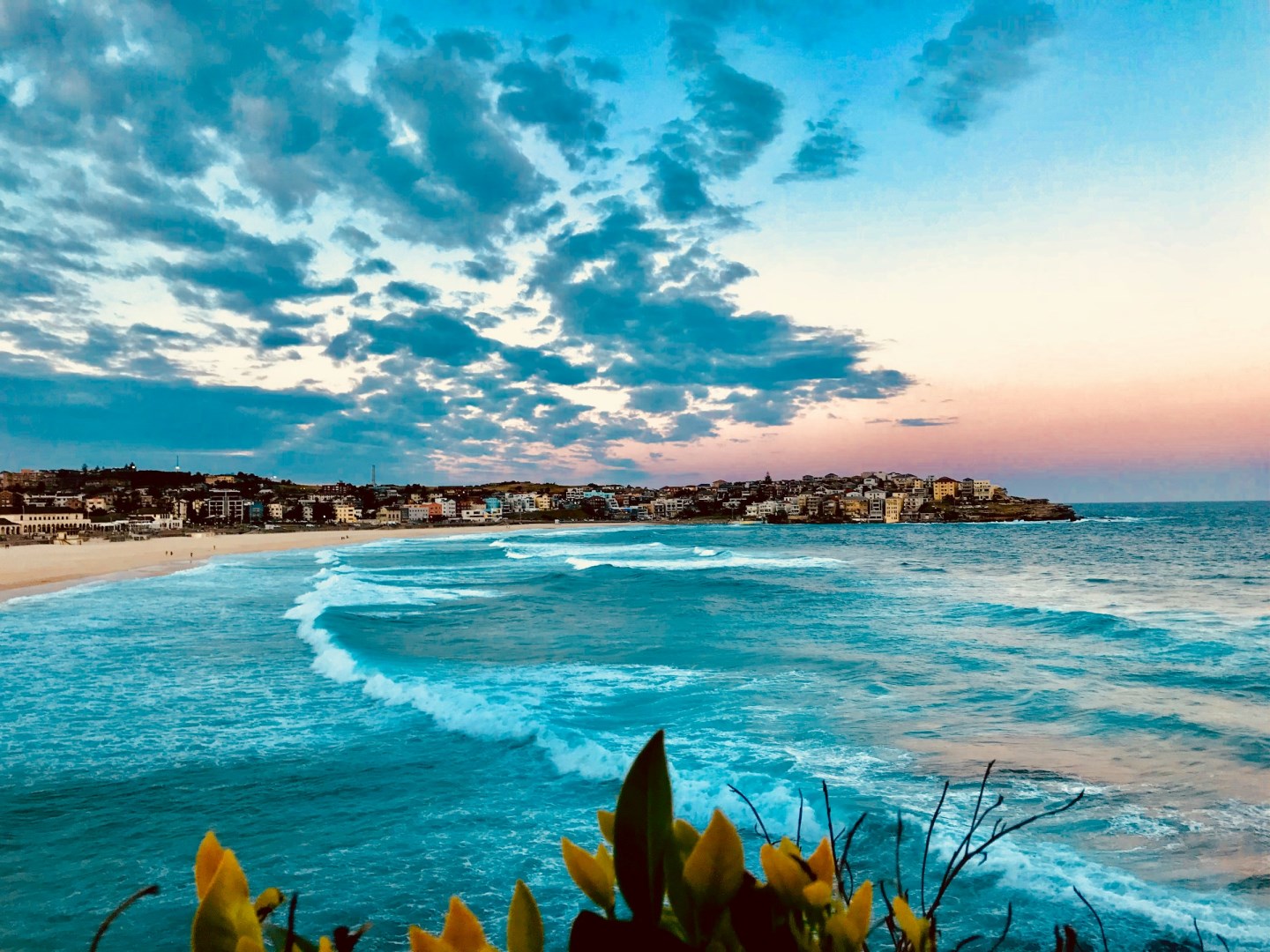 Bondi Beach - Photo Credit: Photo by Azucena Stelzer on Unsplash