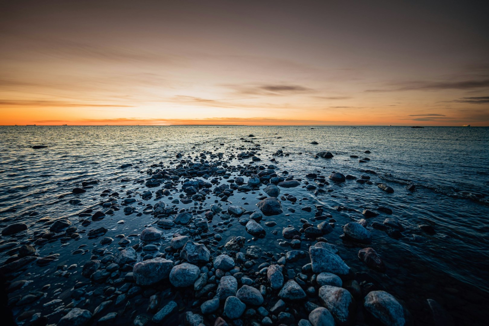 Paljassaare - Photo Credit: Photo by Janek Valdsalu on Unsplash