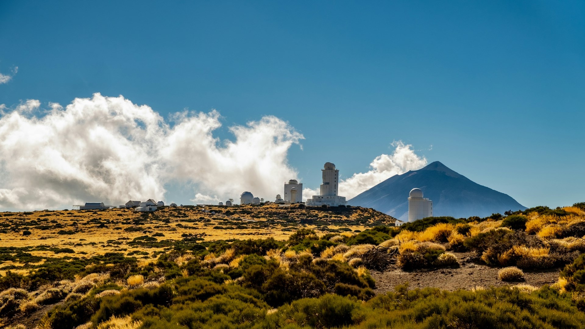  Photo Credit: Photo by Elijah G on Unsplash