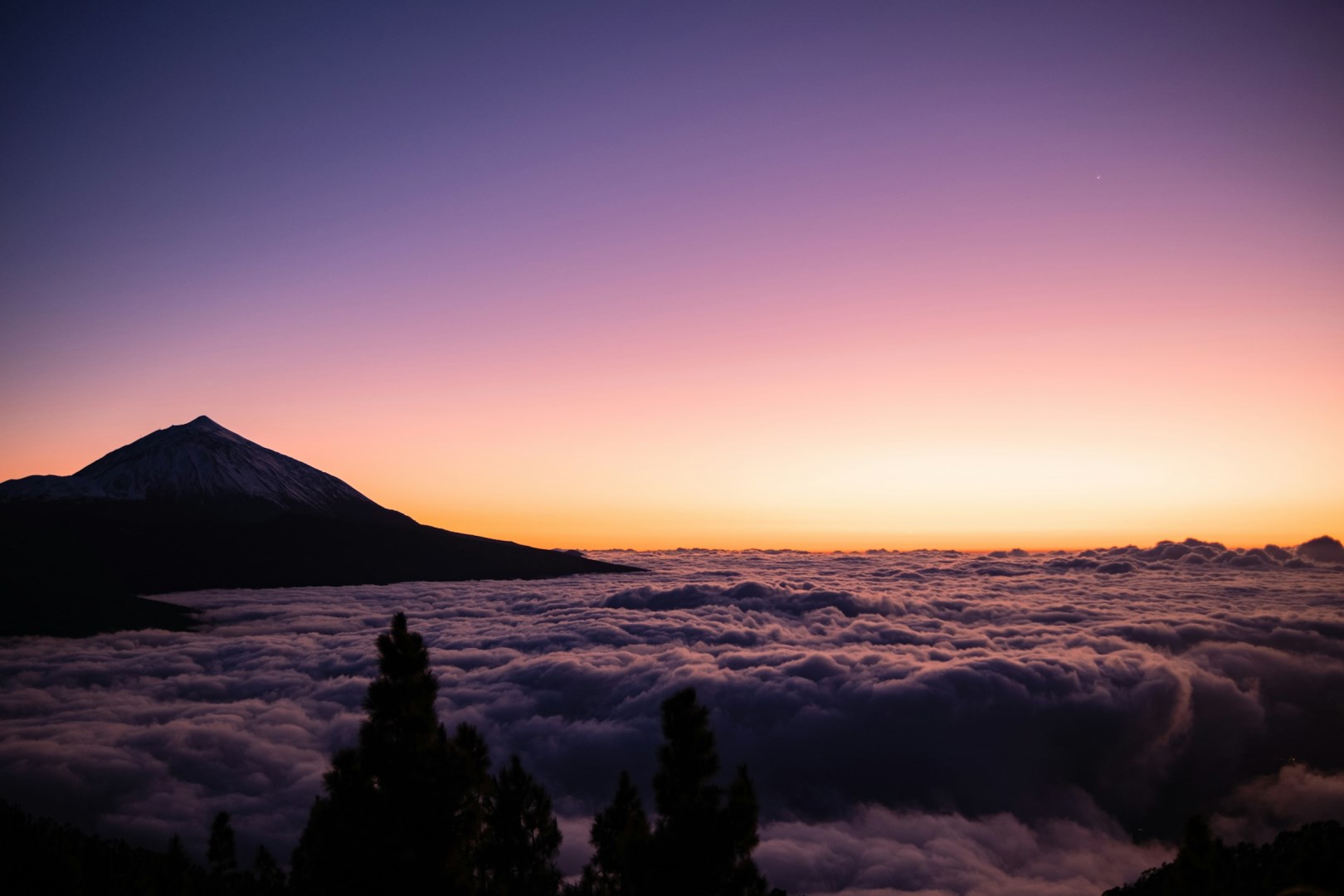  Photo Credit: Photo by Michele Bergami on Unsplash