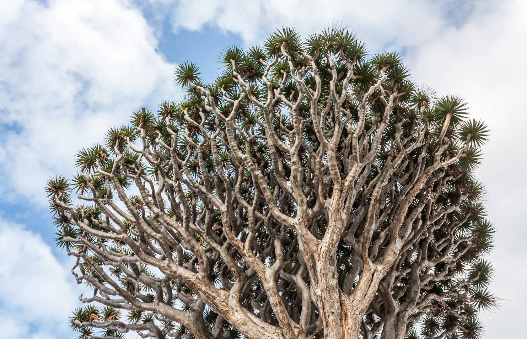  Photo Credit: Photo by Max Nayman on Unsplash