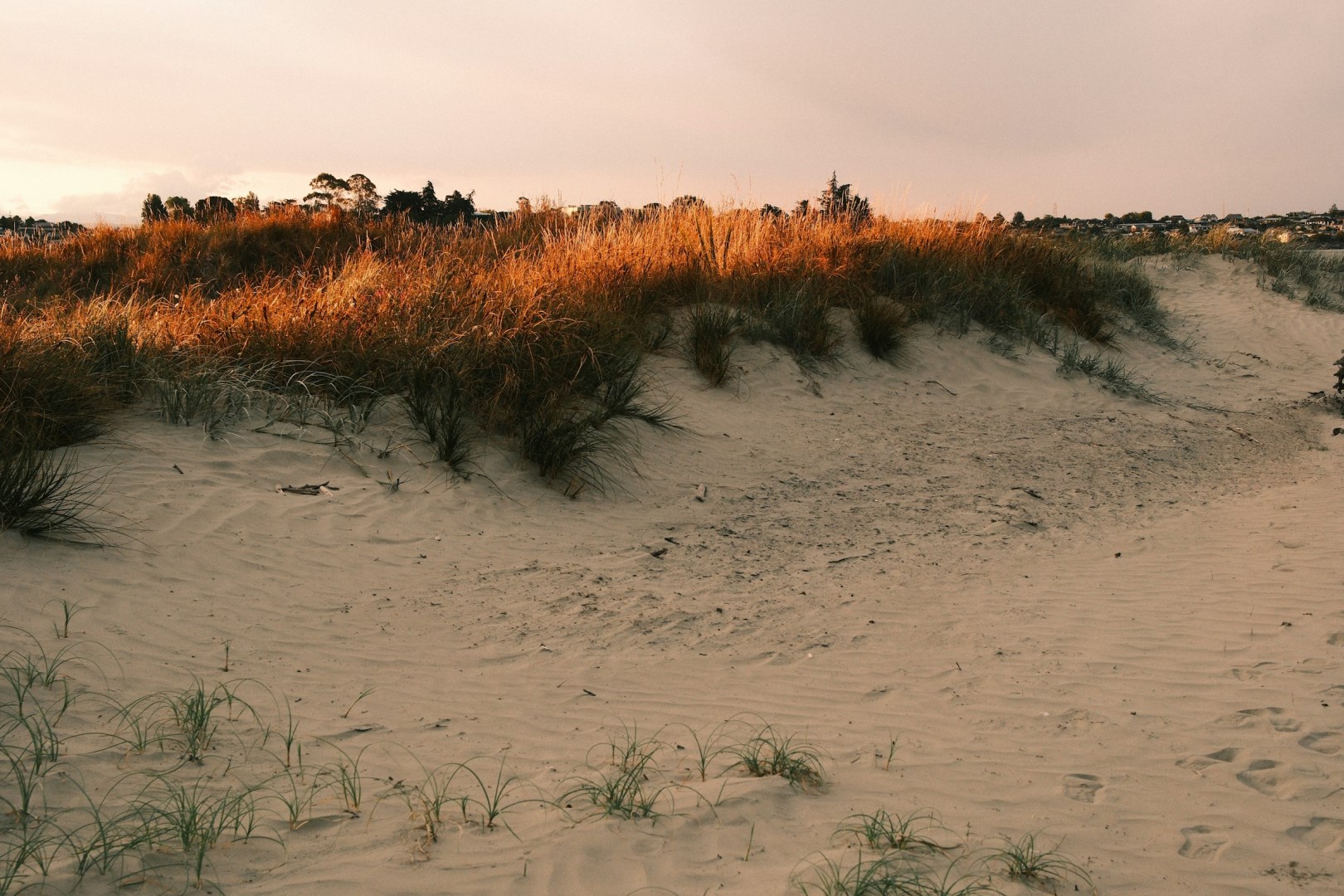 Caroline Bay Beach - Photo Credit: Photo by Tegan Conway on Unsplash