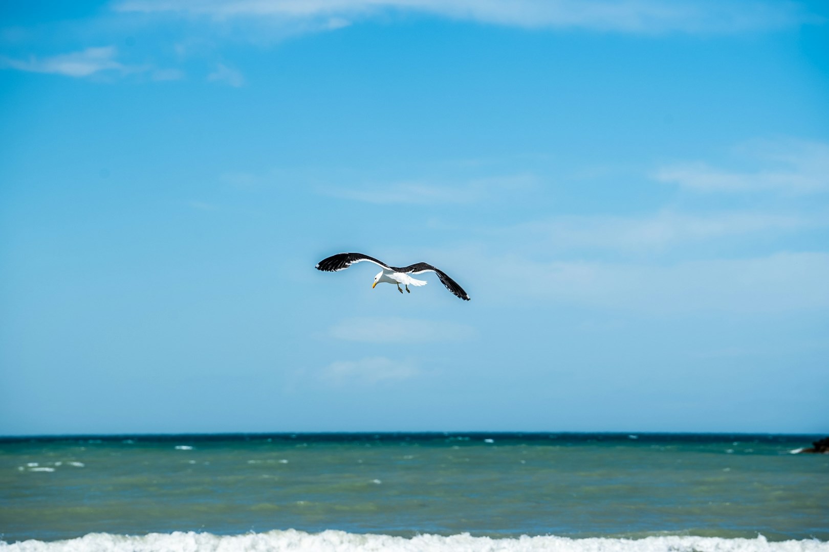 Photo Credit: Photo by JinHui CHEN on Unsplash