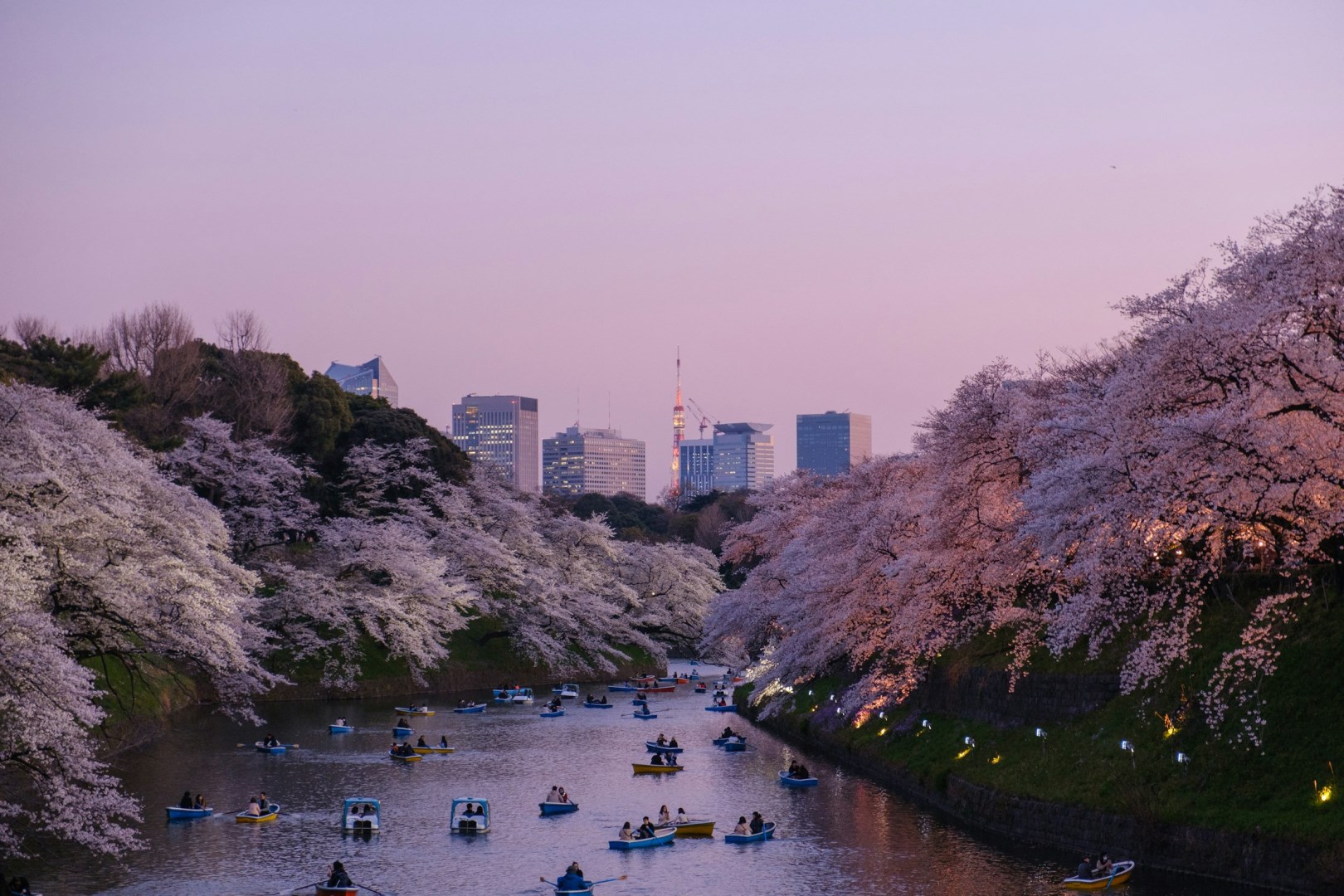  Photo Credit: Photo by Yu Kato on Unsplash