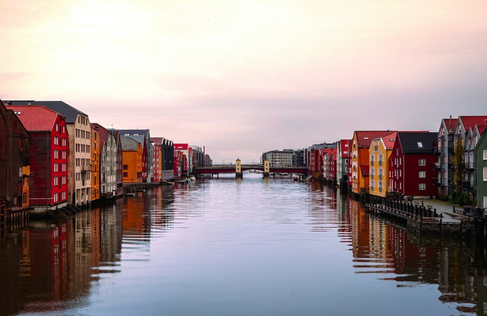  Photo Credit: Photo by Louis Droege on Unsplash