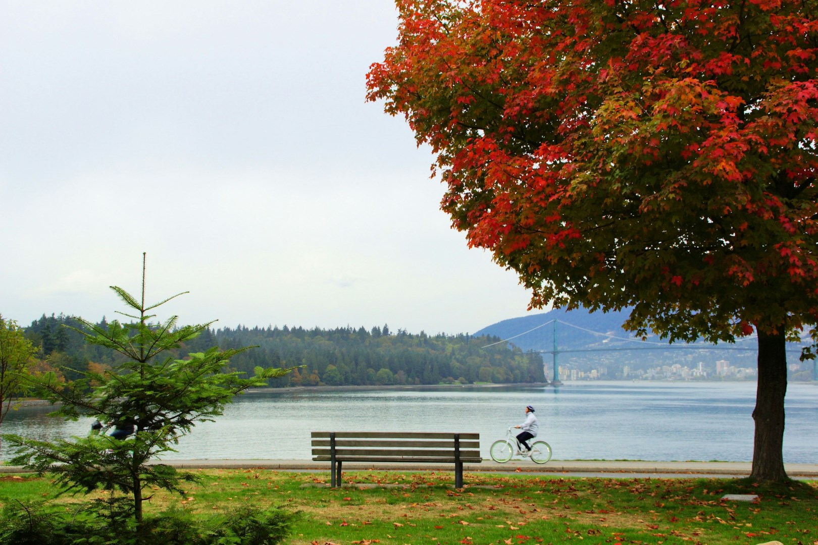  Photo Credit: Photo by rod m on Unsplash