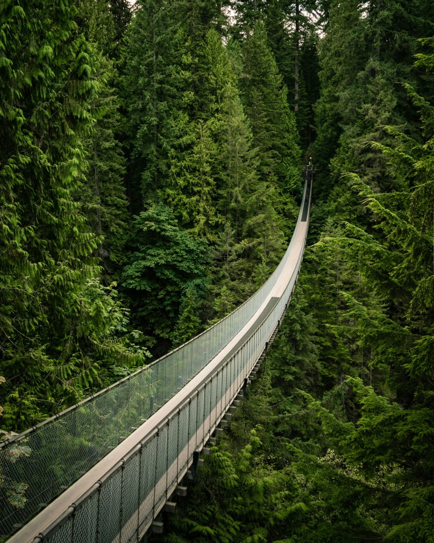 Capilano Suspension Bridge - Photo Credit: Photo by Cayetano Gil on Unsplash