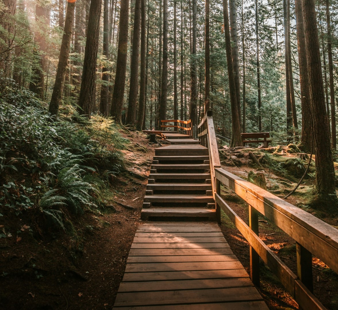 Lynn Canyon Park - Photo Credit: Photo by Samuel Werstak on Unsplash