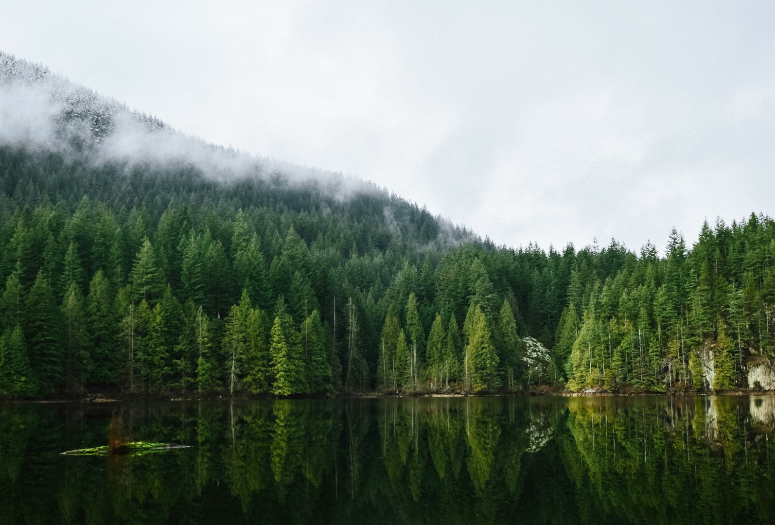 Stanley Park - Photo Credit: Photo by Jeremy Allouche on Unsplash