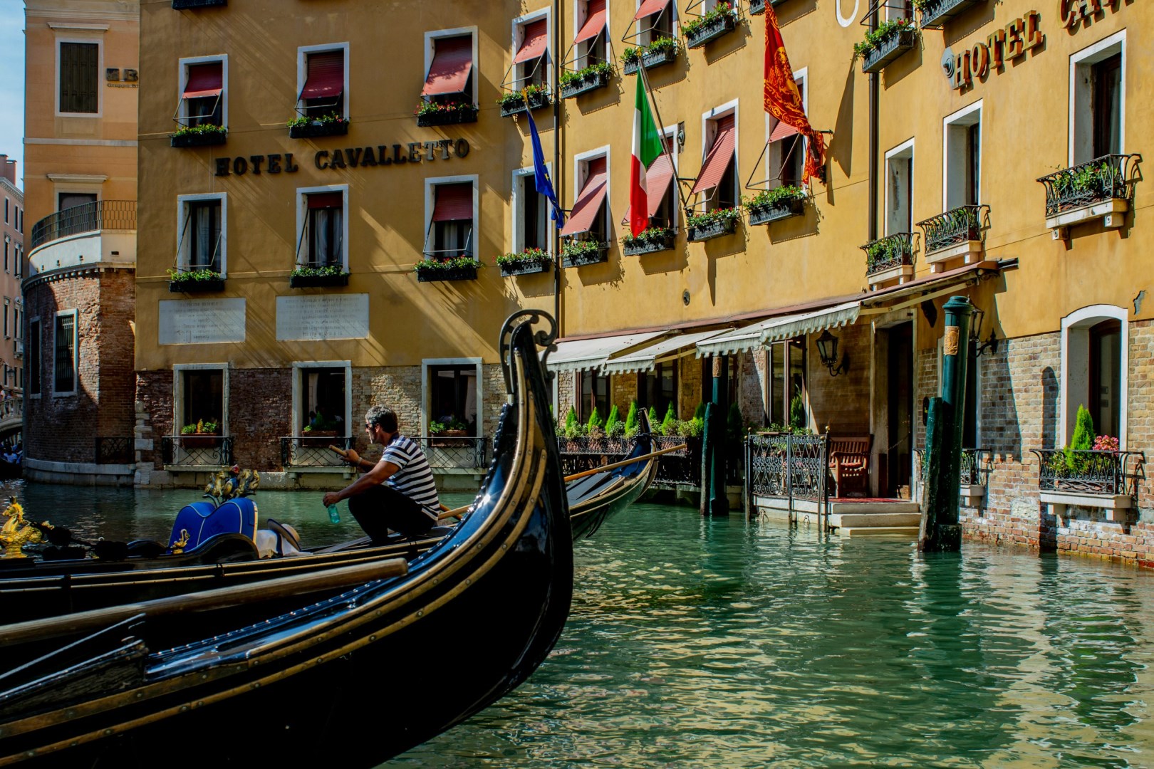  Photo Credit: Photo by Alessandro Ranica on Unsplash