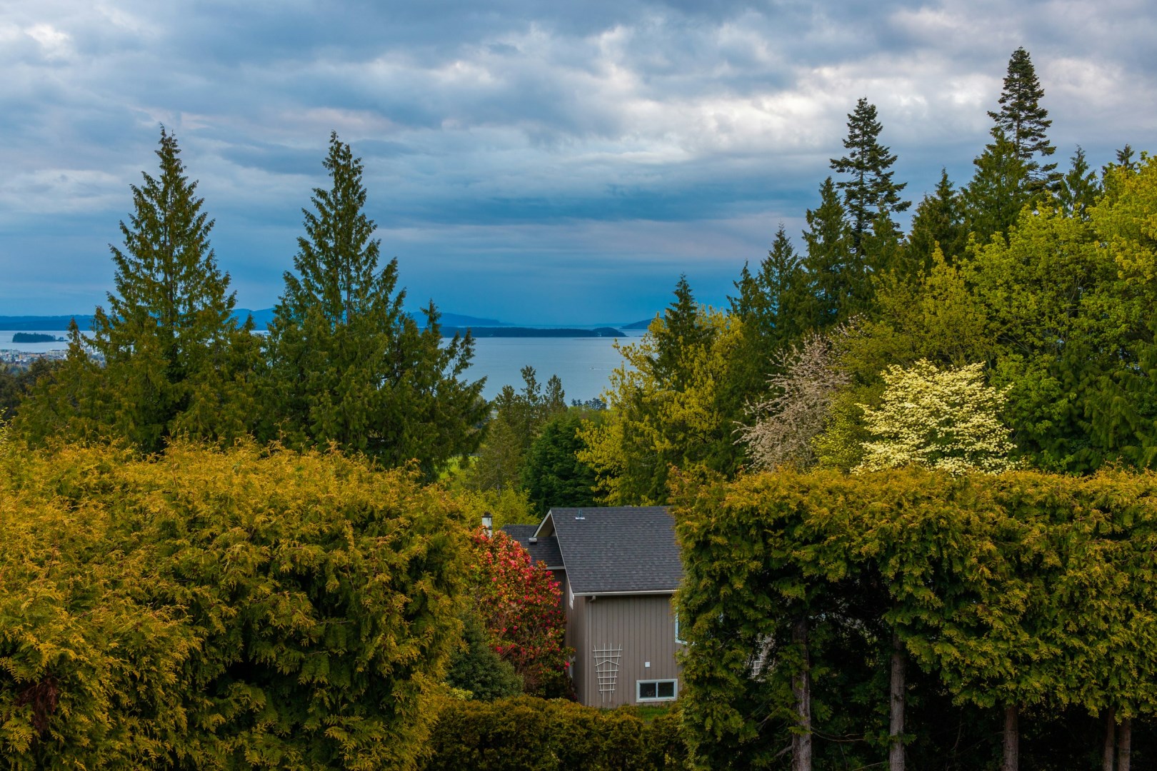  Photo Credit: Photo by Dylan McLeod on Unsplash