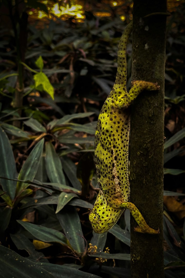  Photo Credit: Photo by Dominik Zabinski on Unsplash