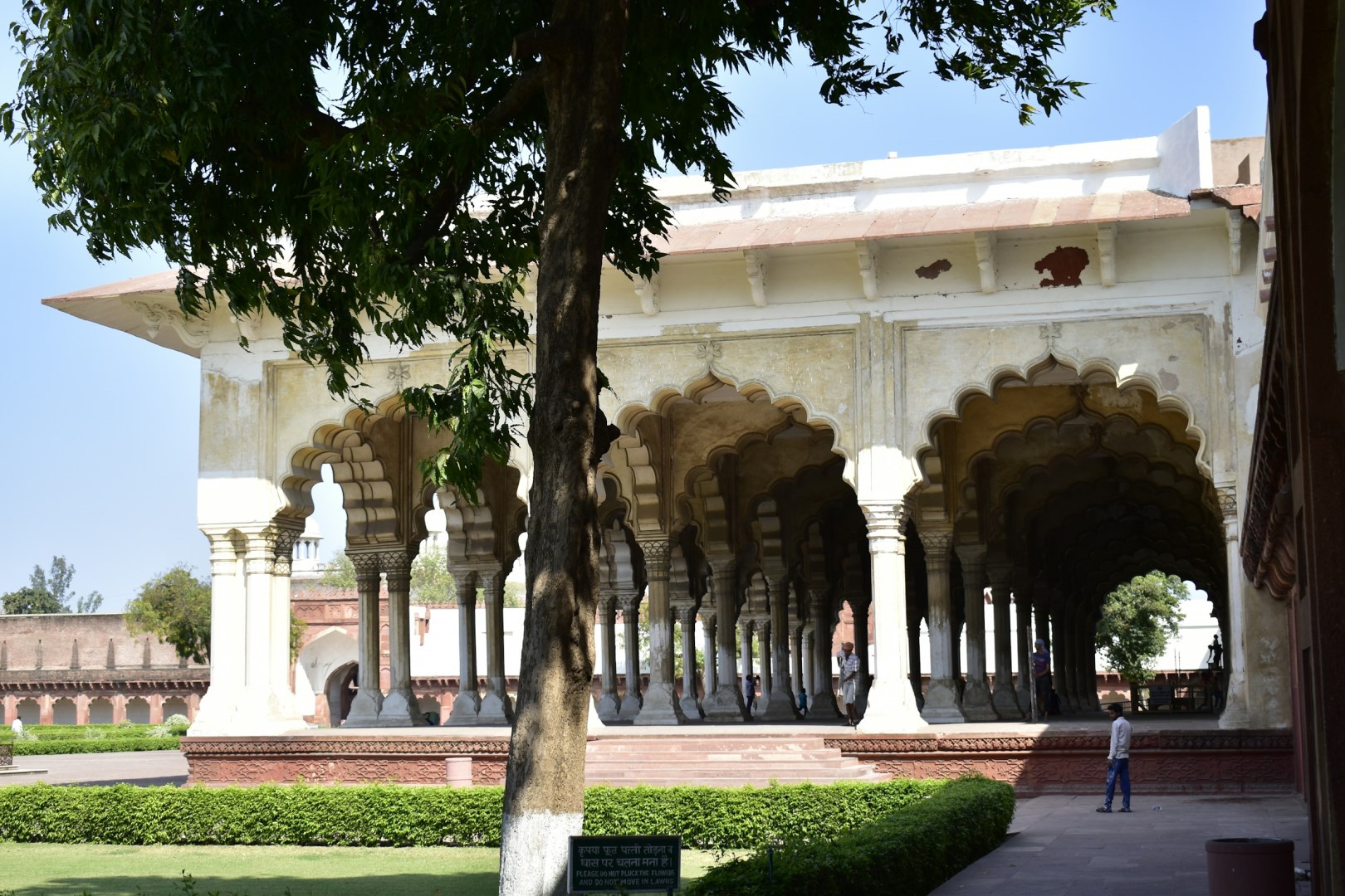  Photo Credit: Photo by Deepak Gupta on Unsplash