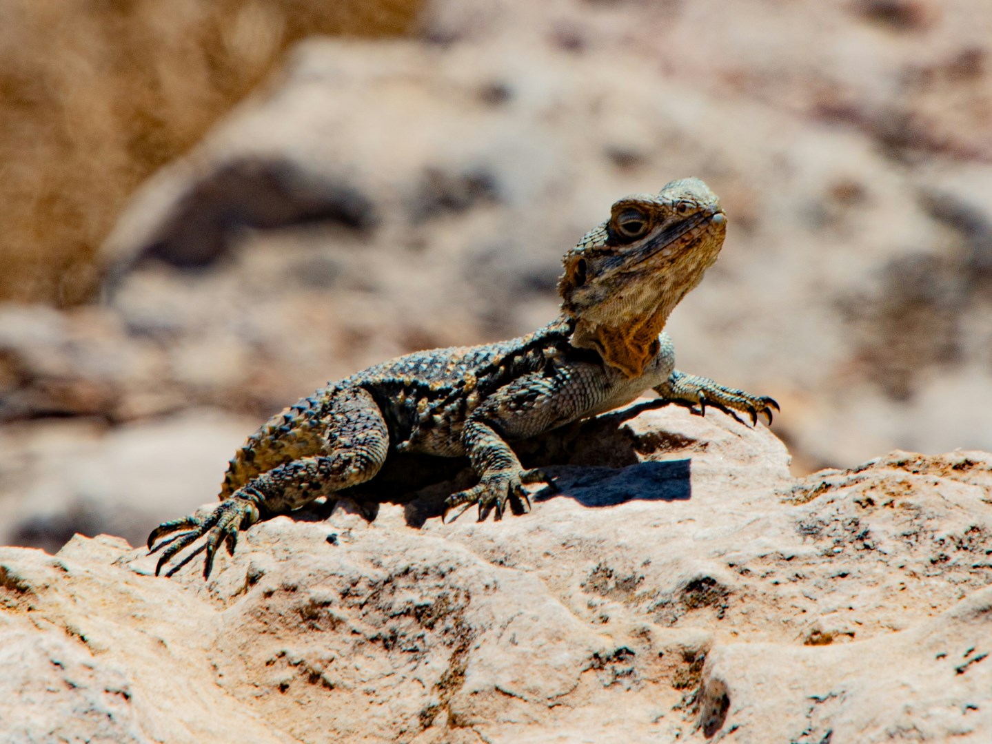  Photo Credit: Photo by Michael Starkie on Unsplash