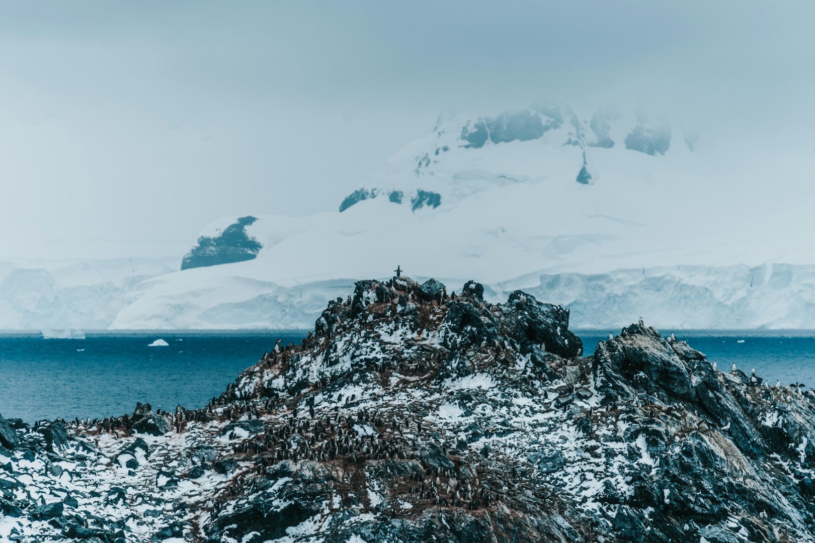  Photo Credit: Photo by Matthew Stephenson on Unsplash