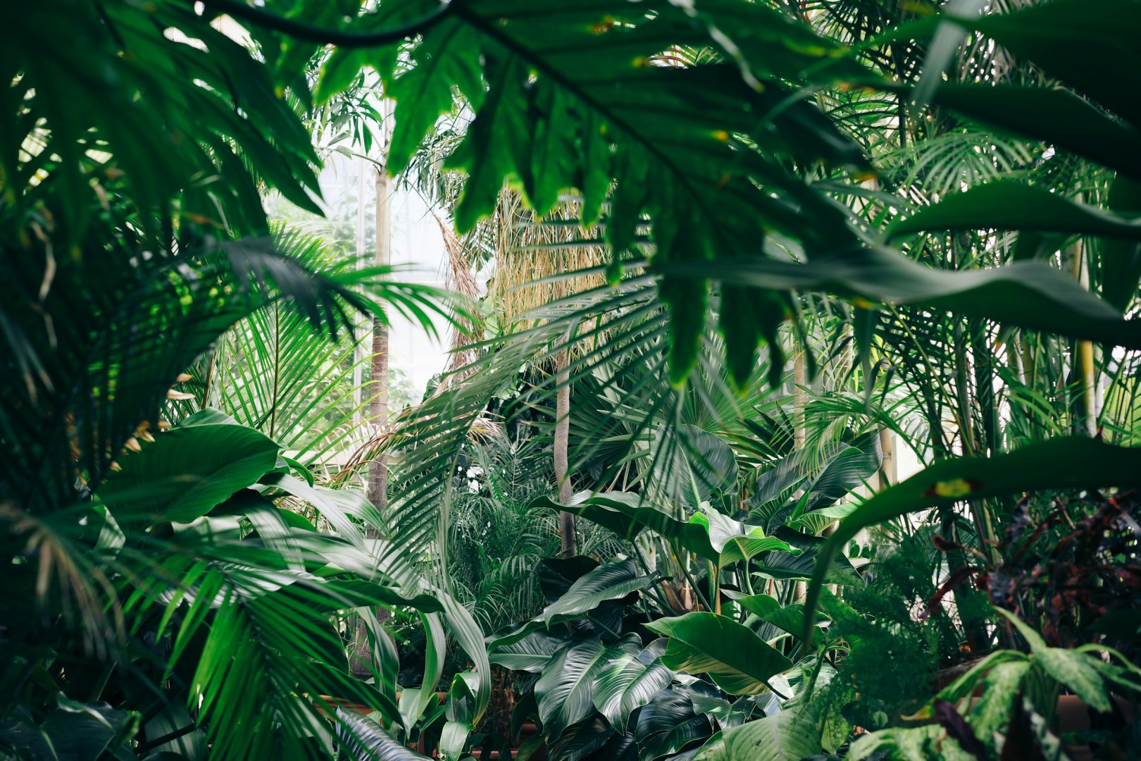 Biltmore Park - Photo Credit: Photo by Chris Abney on Unsplash