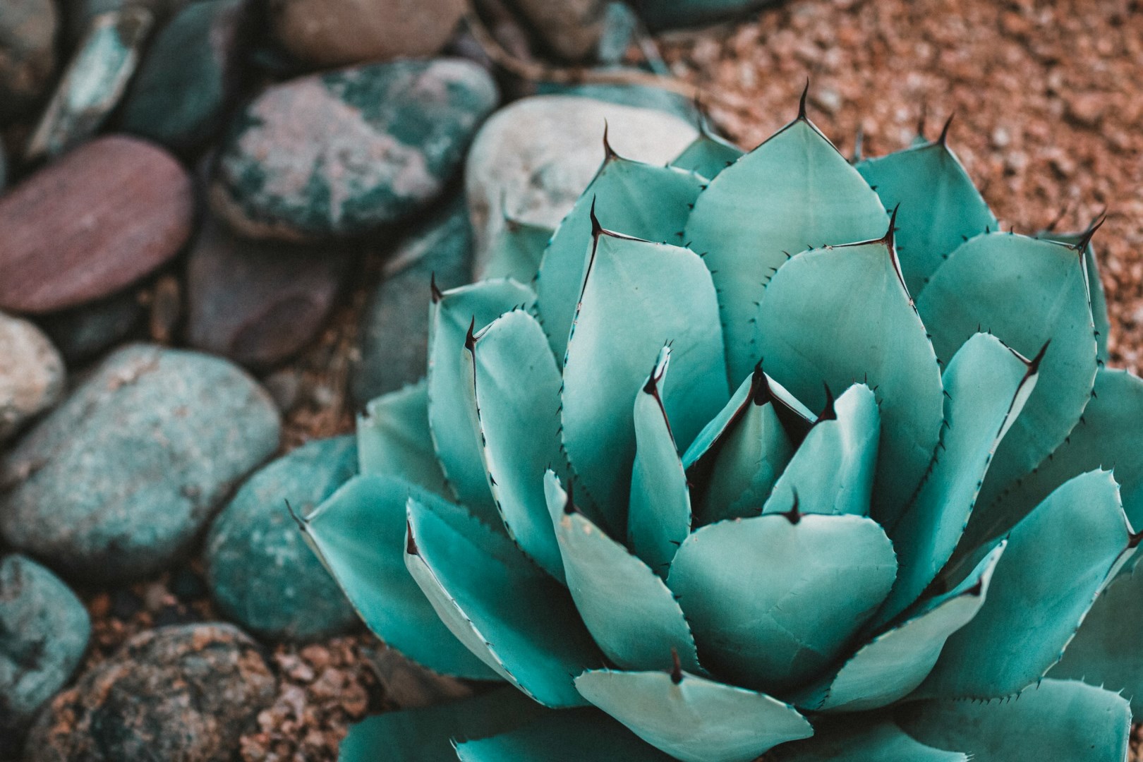  Photo Credit: Photo by Drew Beamer on Unsplash