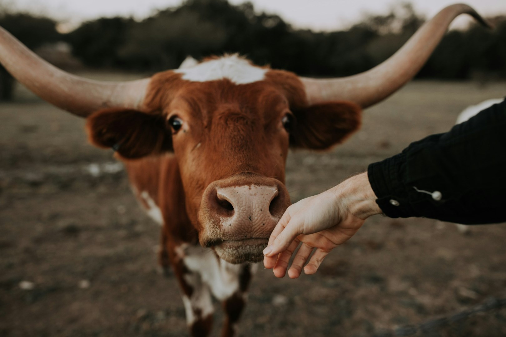  Photo Credit: Photo by Christin Hume on Unsplash