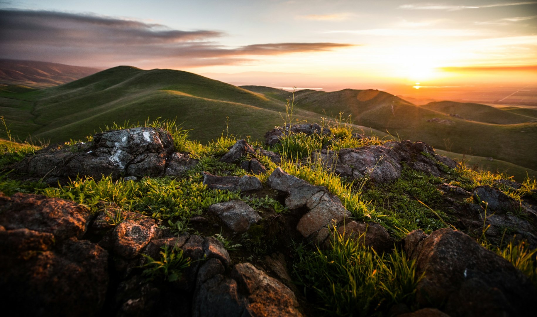  Photo Credit: Photo by Alex Jackson on Unsplash