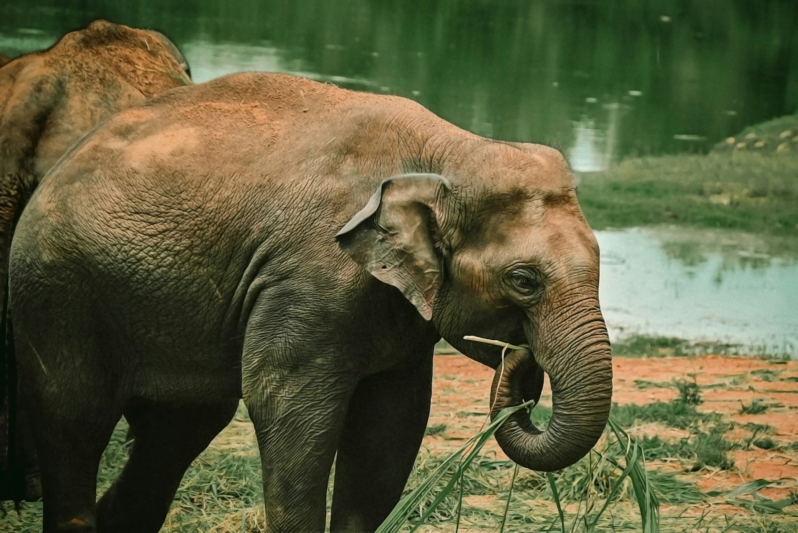 Bannerghatta National Park - Photo Credit: Photo by Mugilan photography on Unsplash