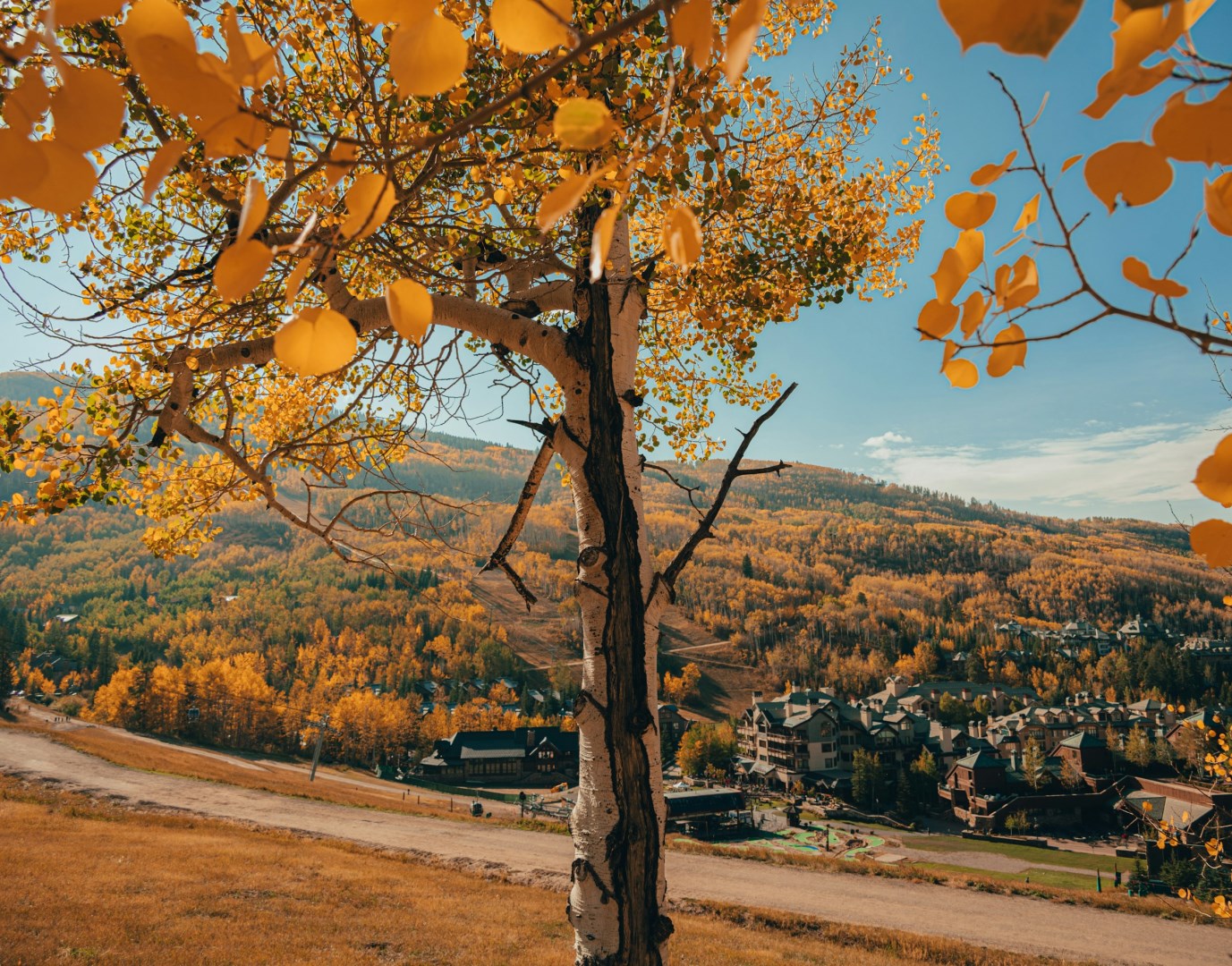  Photo Credit: Photo by Tyler Delgado on Unsplash