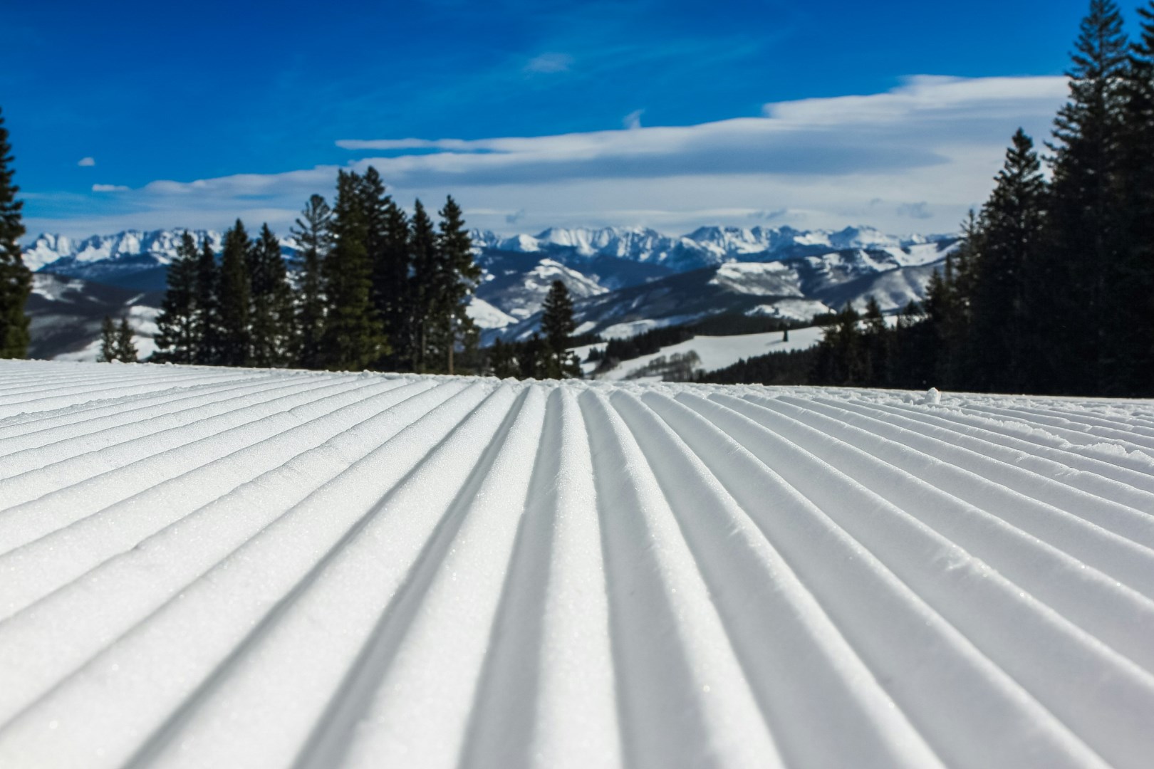  Photo Credit: Photo by John Price on Unsplash