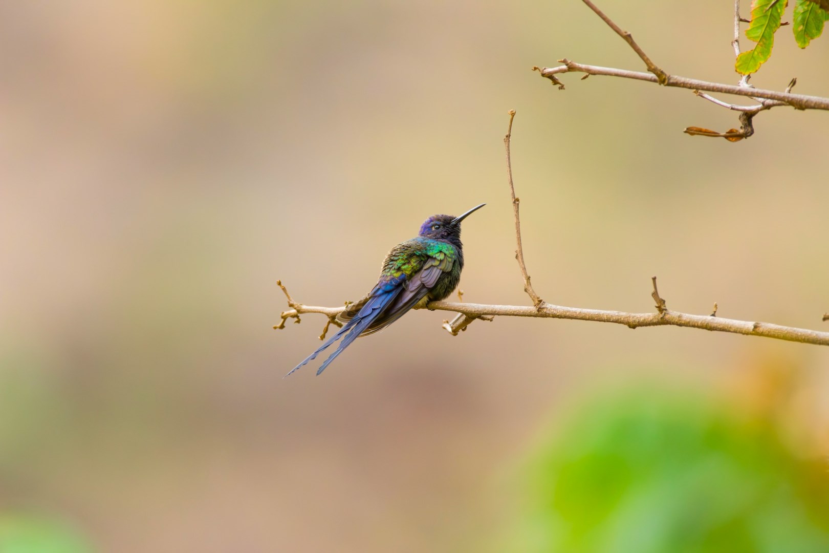 Photo Credit: Photo by Everson Vansoski on Unsplash