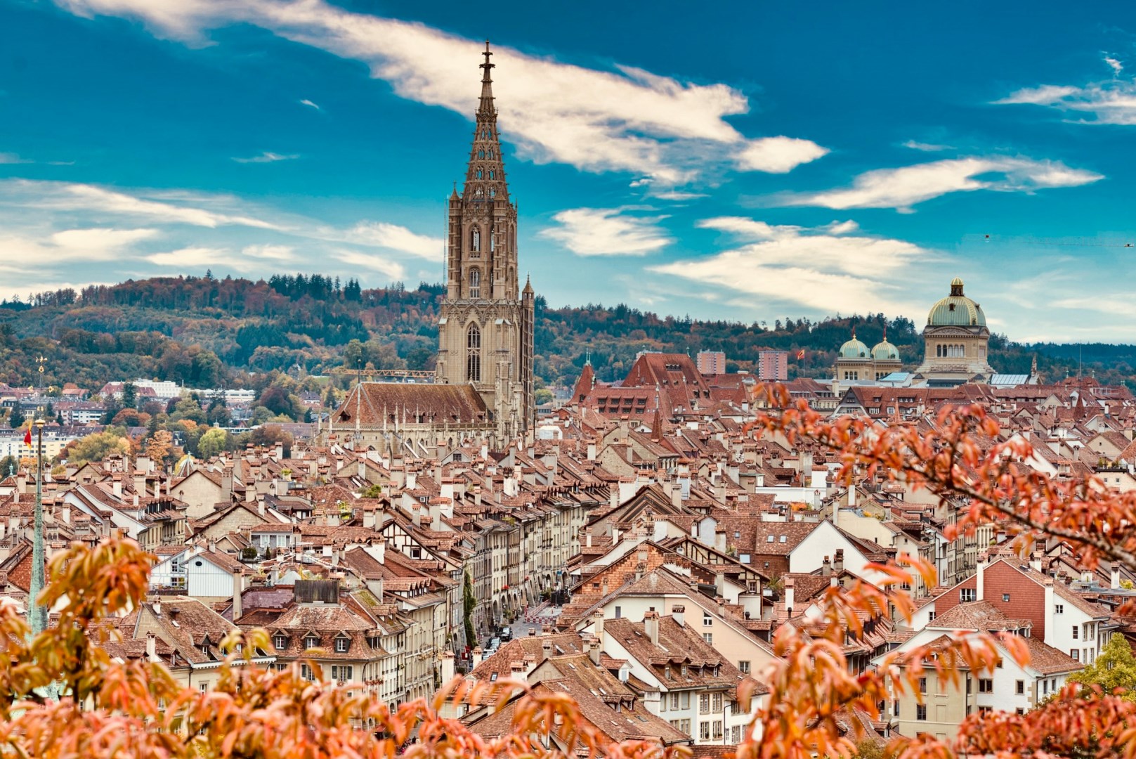  Photo Credit: Photo by Andreas Fischinger on Unsplash