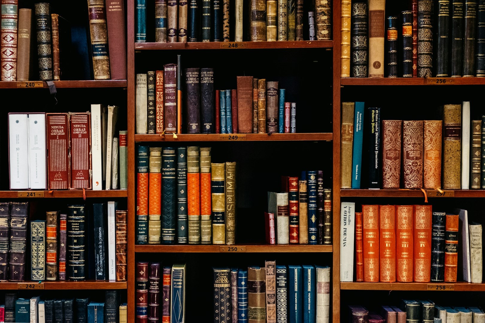  Photo Credit: Photo by Iñaki del Olmo on Unsplash