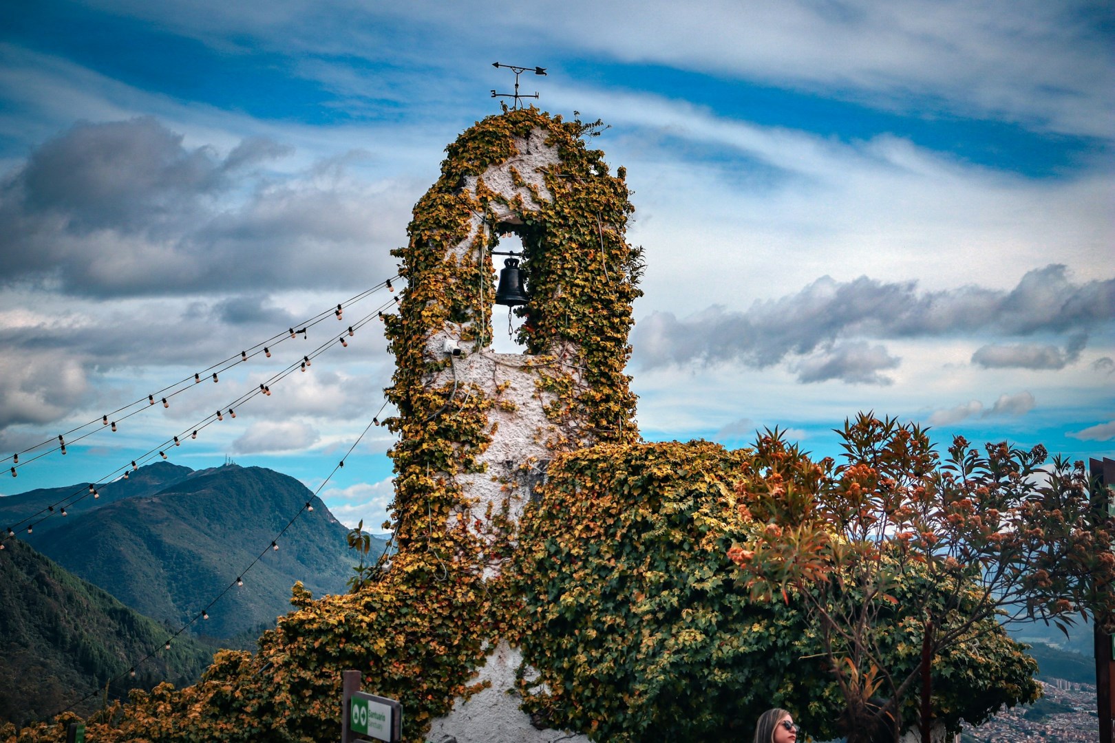  Photo Credit: Photo by lo lindo on Unsplash