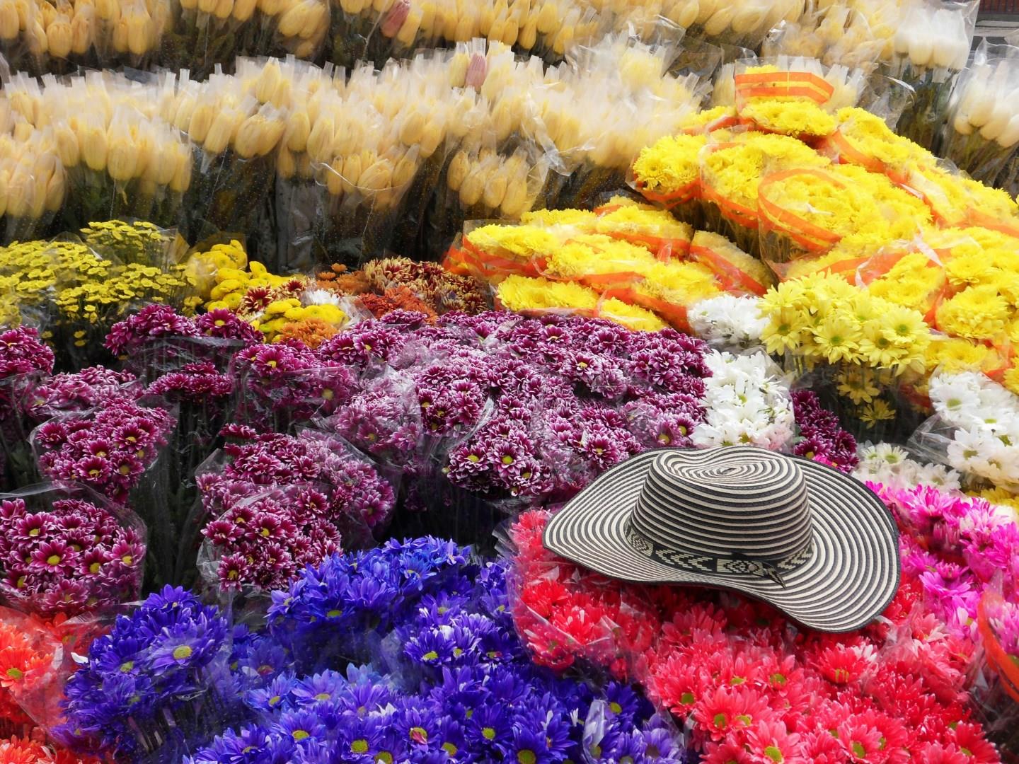 Bogota