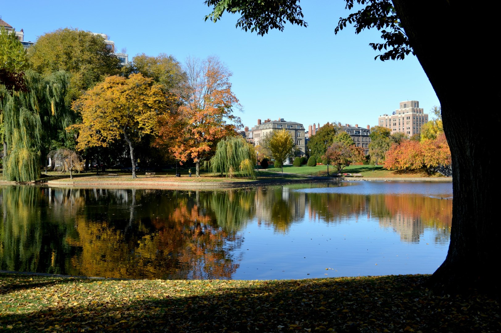 Boston Public Garden - Photo Credit: Photo by Daniel Bernal on Unsplash