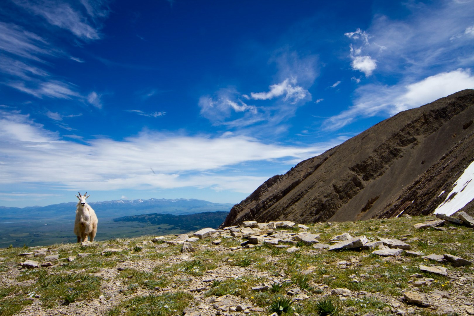  Photo Credit: Photo by Lee Peters on Unsplash