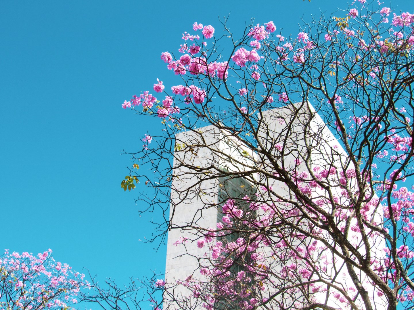 Brasília