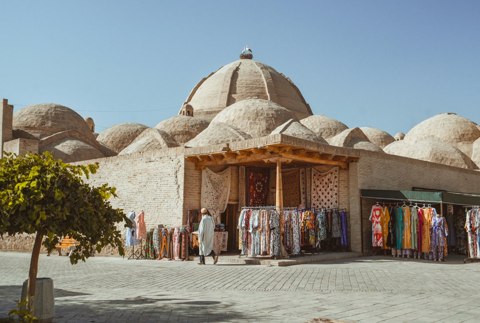  Photo Credit: Photo by Evgeny Matveev on Unsplash