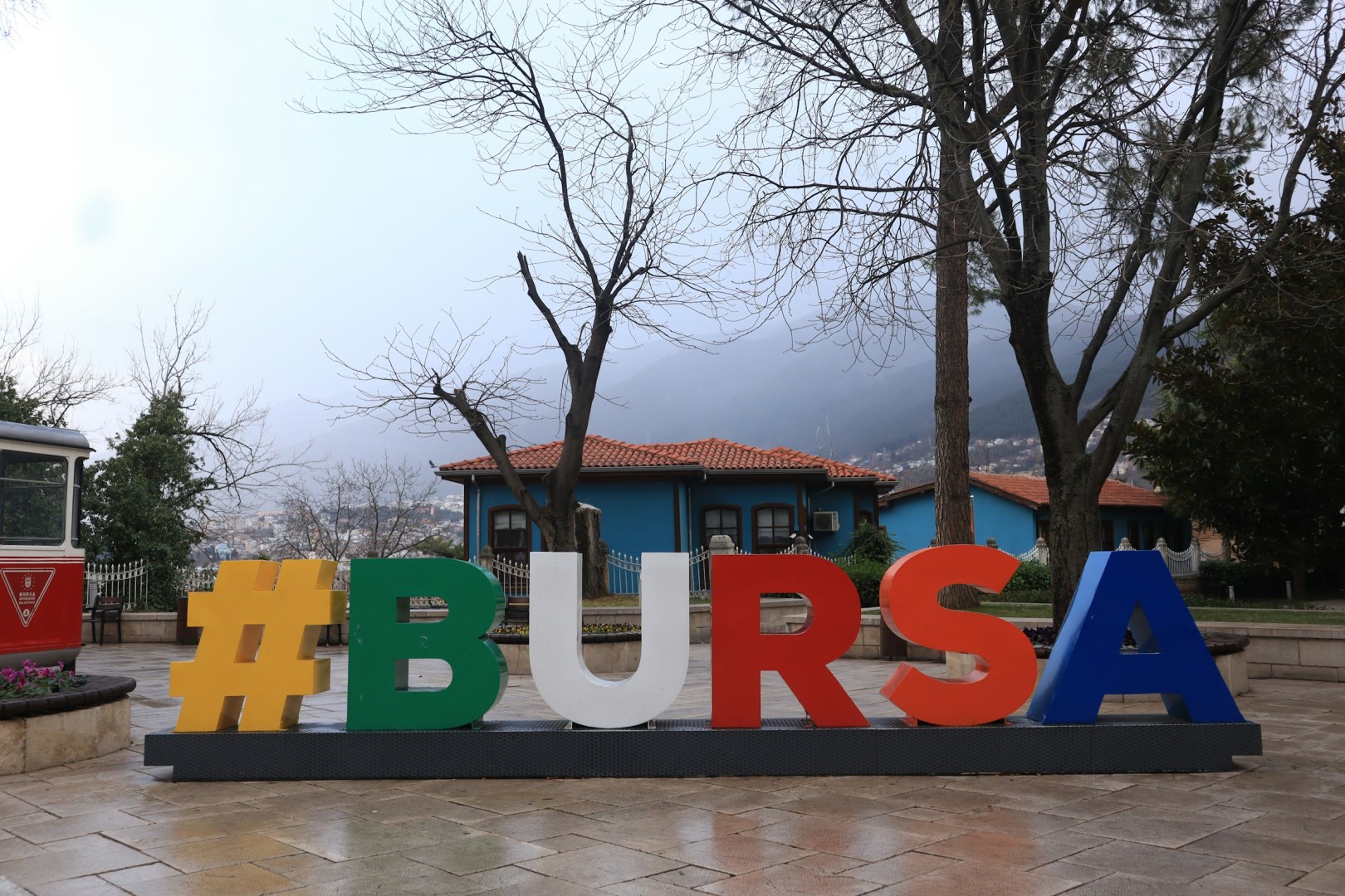 Bursa