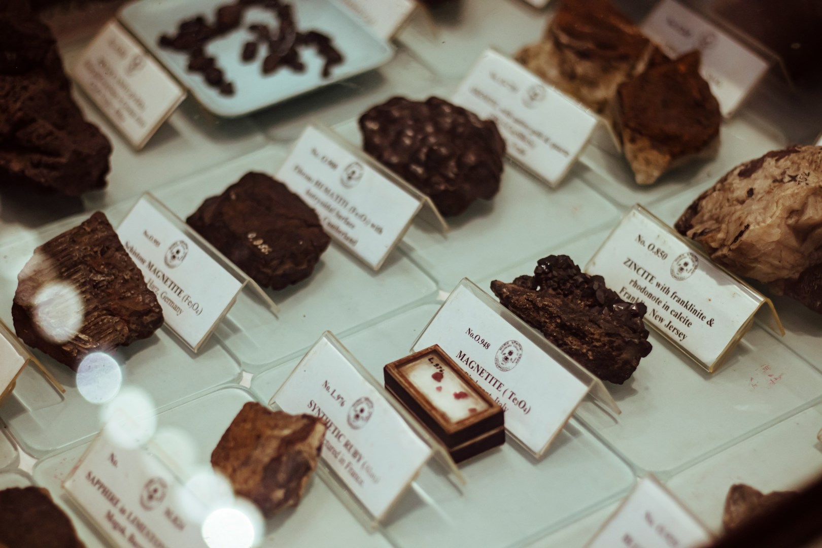 Indian Museum - Photo Credit: Photo by Ranjit Pradhan on Unsplash