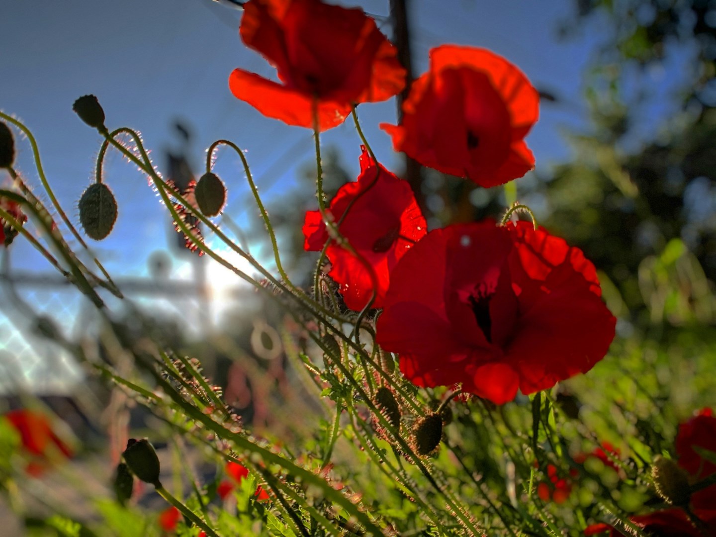  Photo Credit: Photo by Angus Higgs on Unsplash