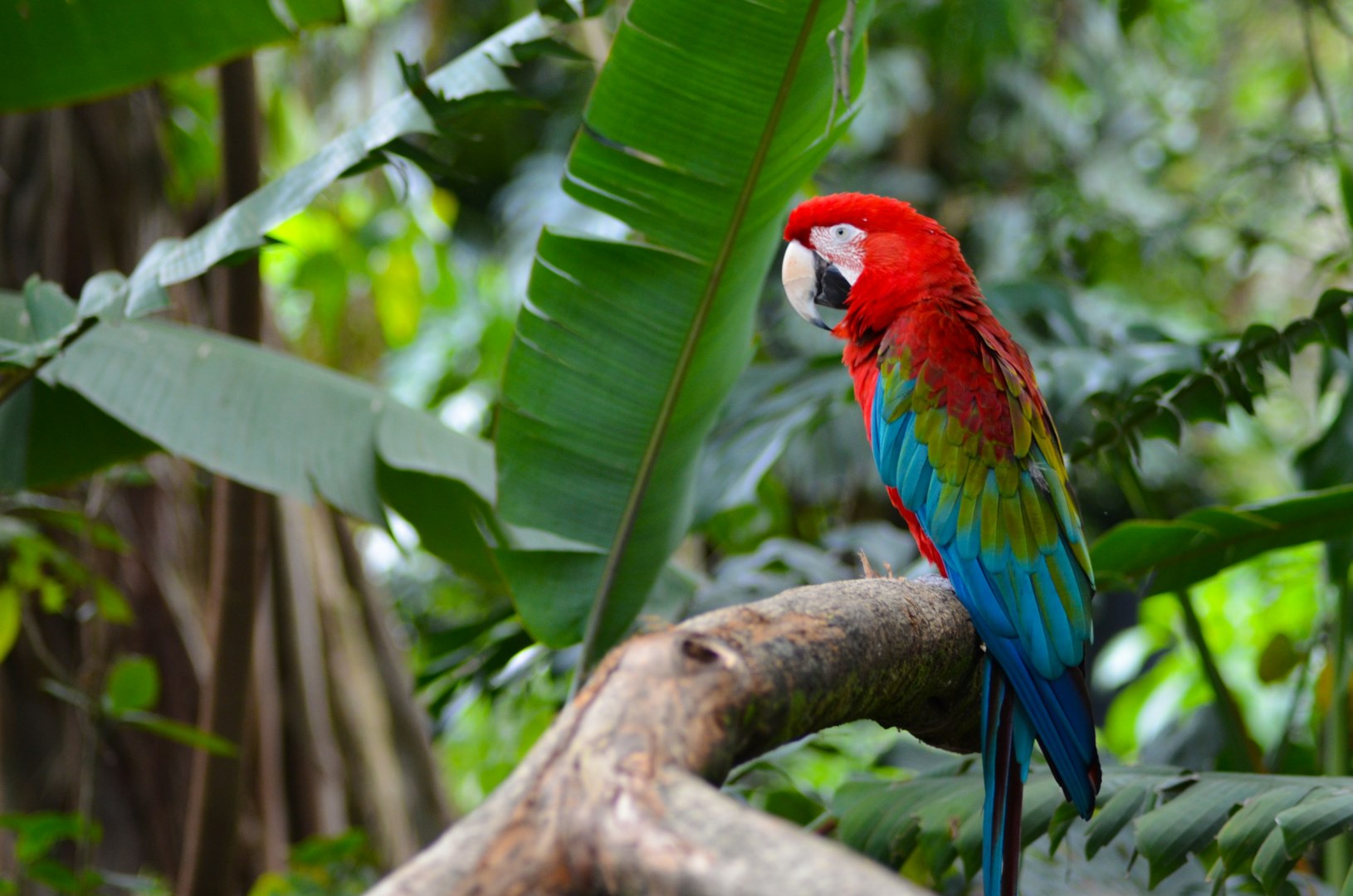  Photo Credit: Photo by Juan Camilo Guarin P on Unsplash