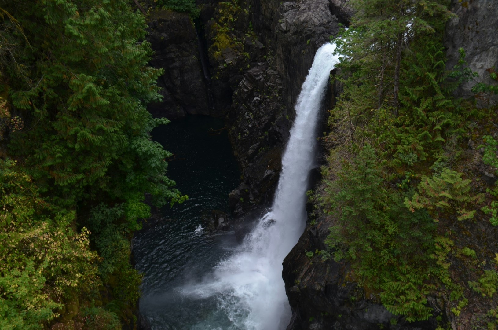 Elk Falls - Photo Credit: Photo by Ariana Kaminski on Unsplash