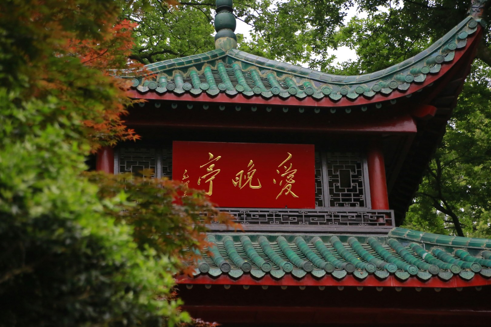  Photo Credit: Photo by Bo Zhang on Unsplash
