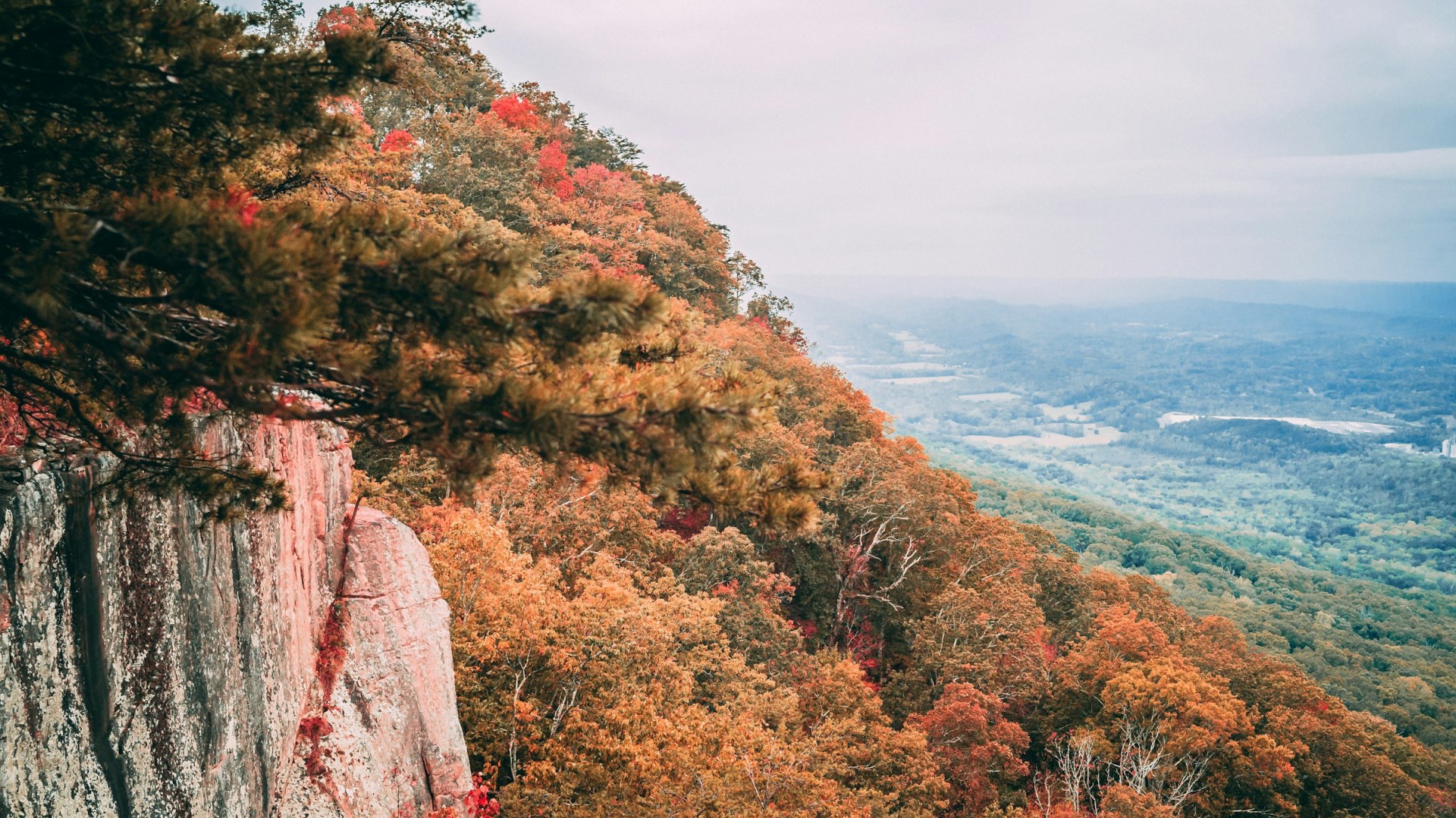  Photo Credit: Photo by David Sager on Unsplash