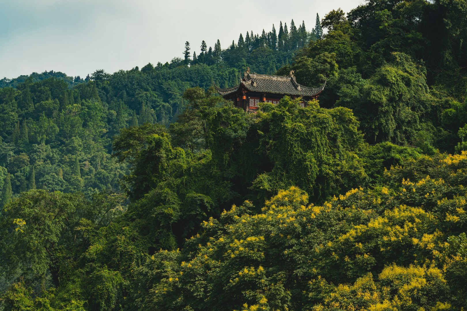  Photo Credit: Photo by Declan Sun on Unsplash