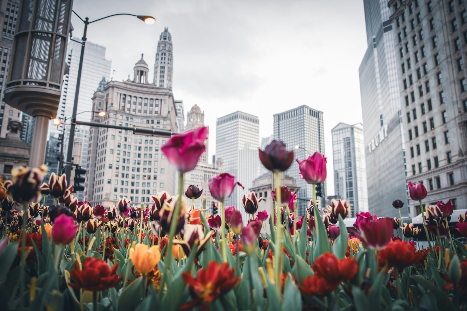  Photo Credit: Photo by Erik Cooper on Unsplash