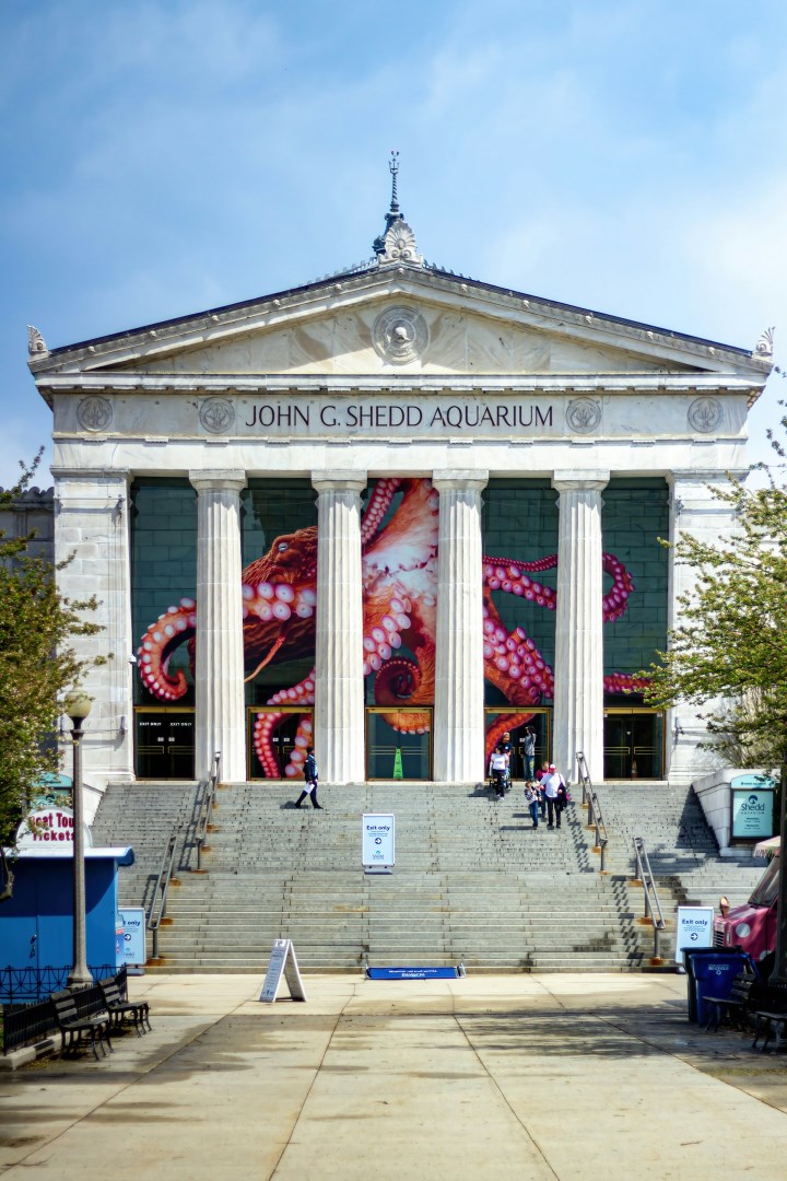 Shedd Aquarium - Photo Credit: Photo by Gautam Krishnan on Unsplash